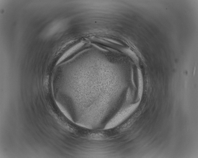 X0000083650066200703051737