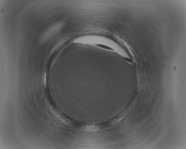 X0000083650067200703051737