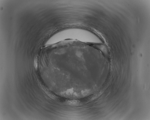 X0000083650069200703051737