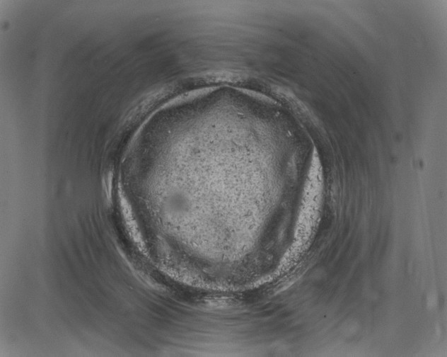 X0000083650070200703051737