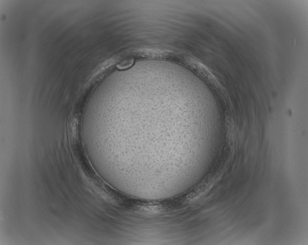 X0000083650071200703051737