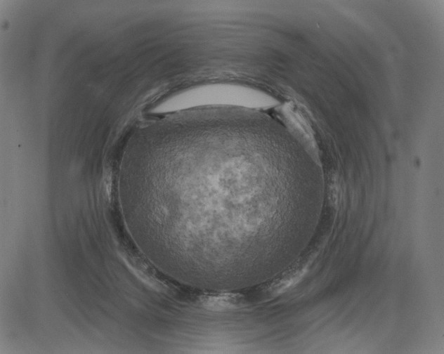 X0000083650072200703051737