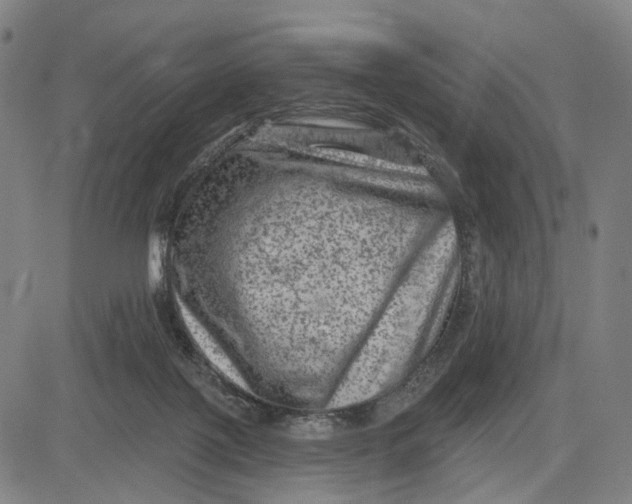 X0000083650075200703051737