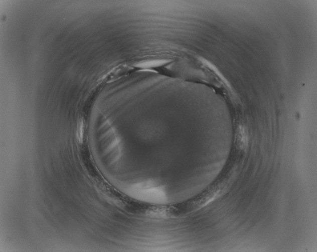 X0000083650076200703051737