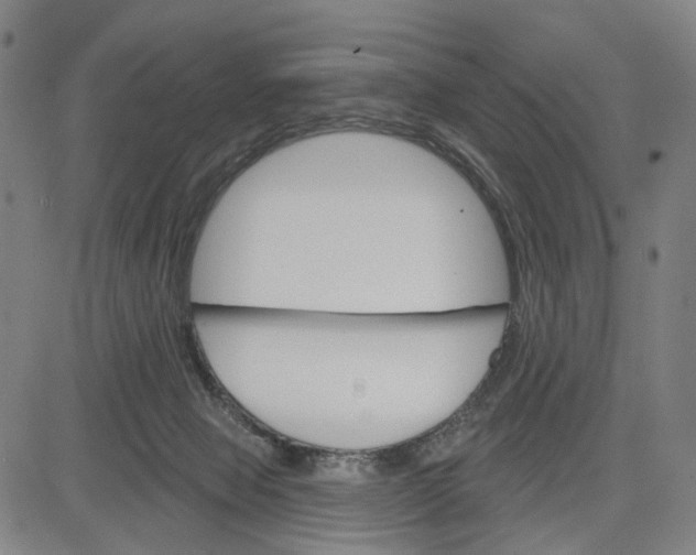 X0000083650077200703051737