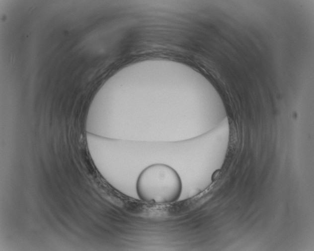 X0000083650078200703051737