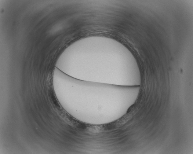 X0000083650079200703051737