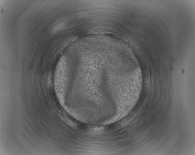 X0000083650081200703051737