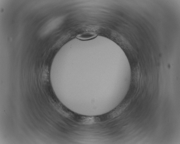 X0000083650083200703051737