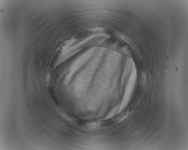 X0000083650084200703051737