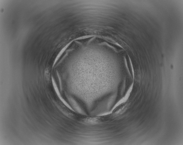 X0000083650086200703051737