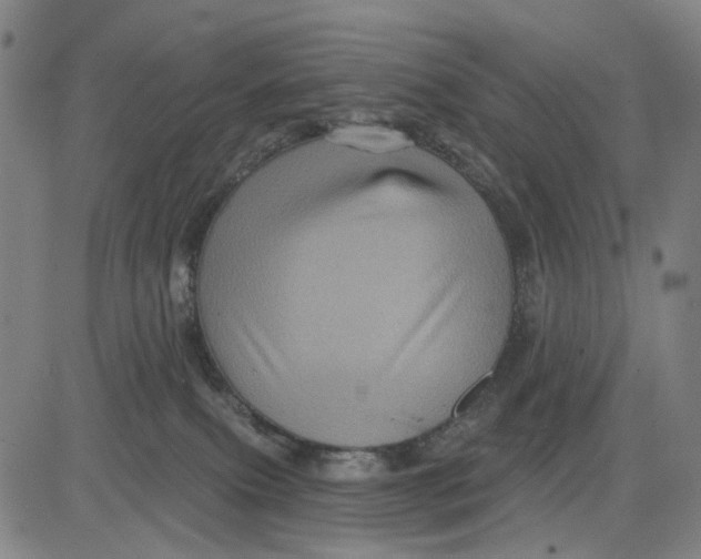 X0000083650087200703051737