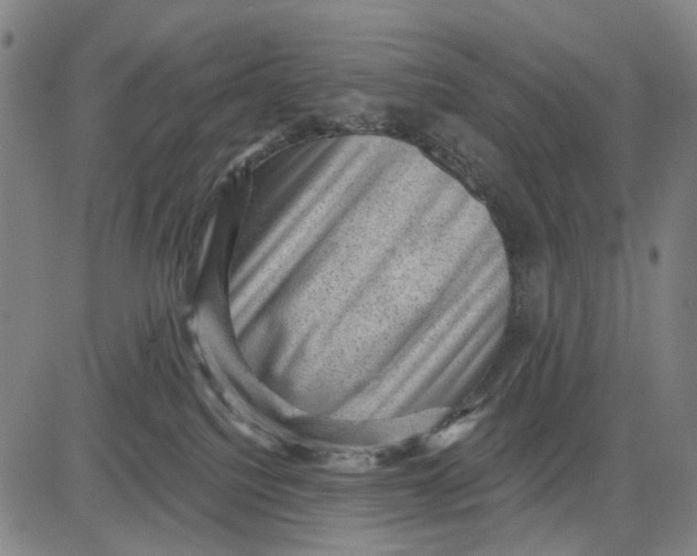 X0000083650088200703051737