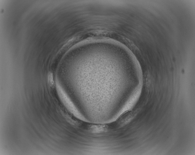 X0000083650089200703051737