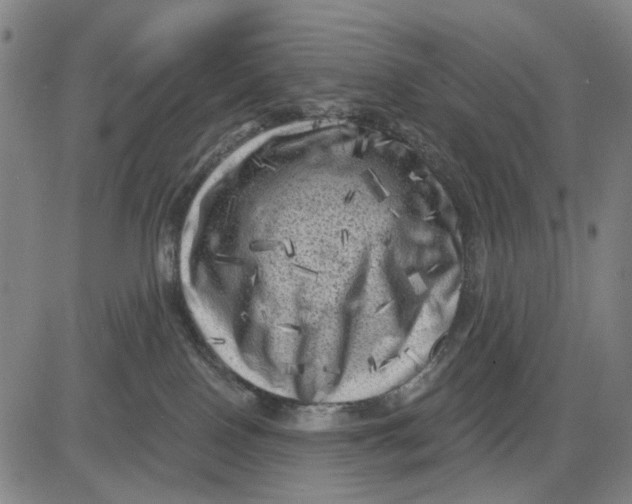 X0000083650090200703051737