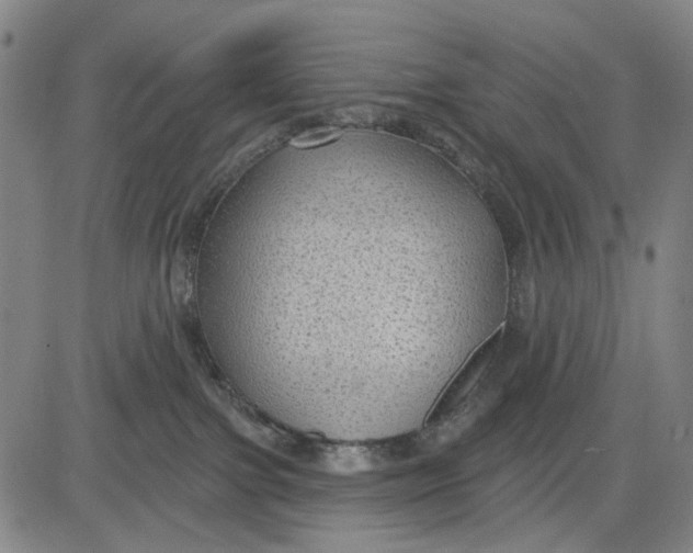 X0000083650091200703051737