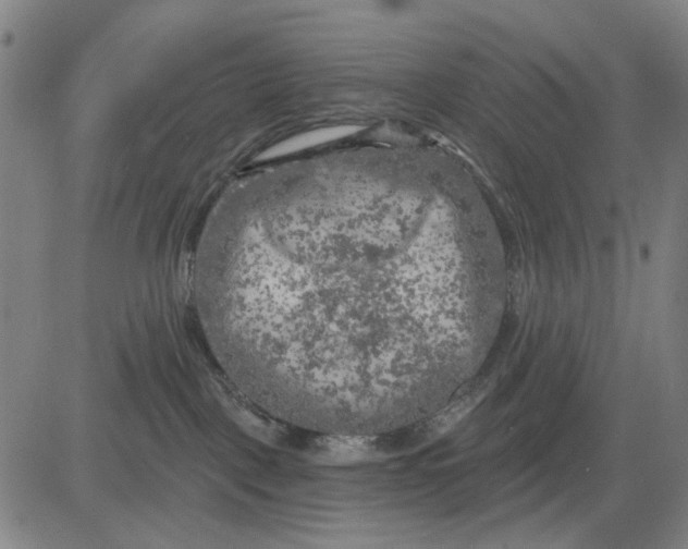 X0000083650093200703051737