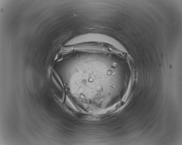 X0000083650094200703051737