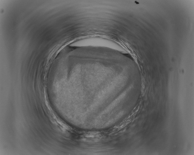 X0000083650097200703051736