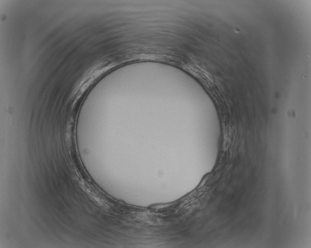 X0000083650098200703051736