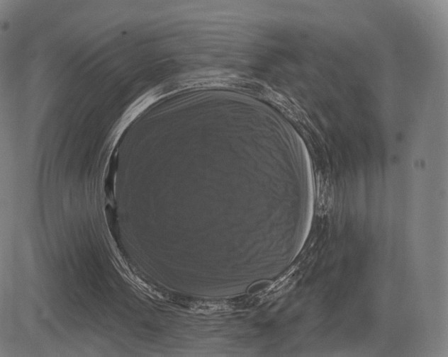 X0000083650099200703051736