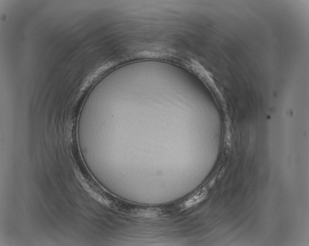 X0000083650106200703051736