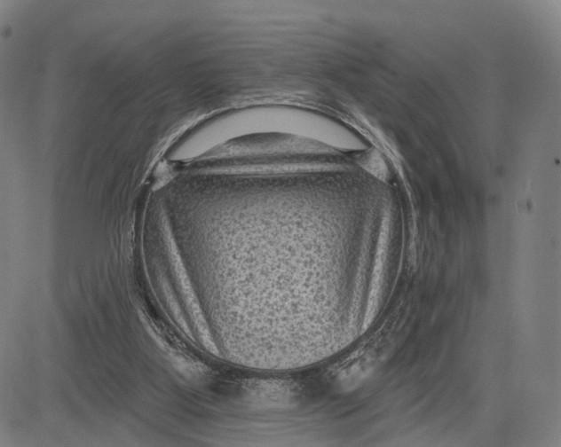 X0000083650107200703051736