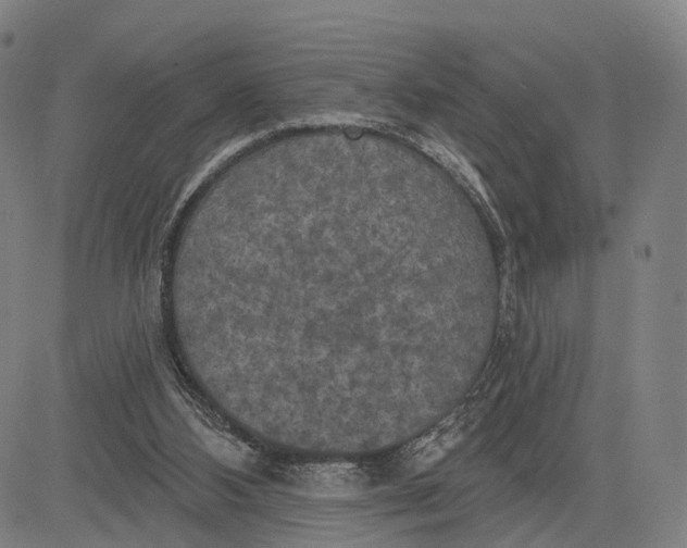 X0000083650108200703051736