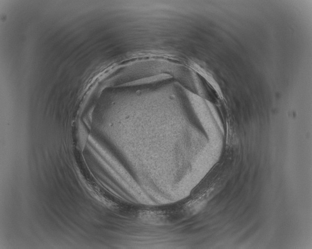 X0000083650109200703051736