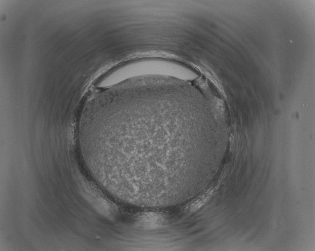 X0000083650111200703051736