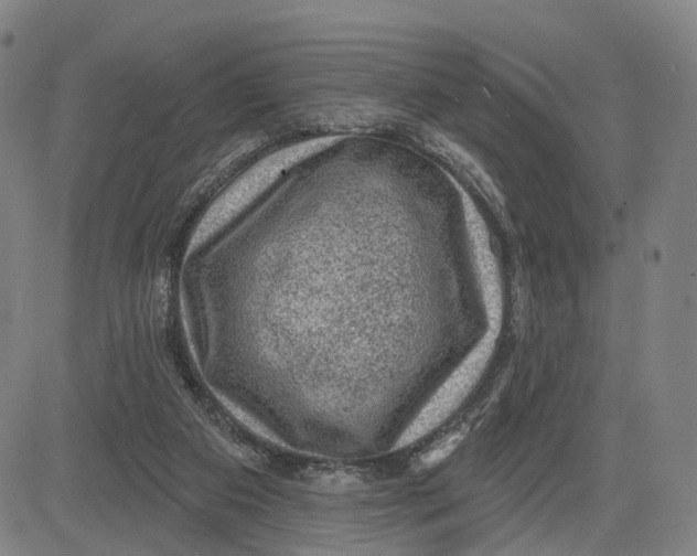 X0000083650113200703051736