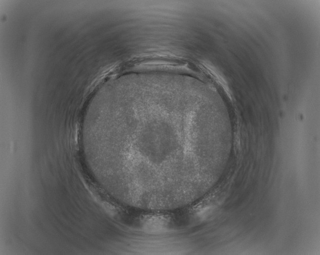 X0000083650115200703051736