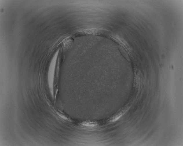 X0000083650117200703051736