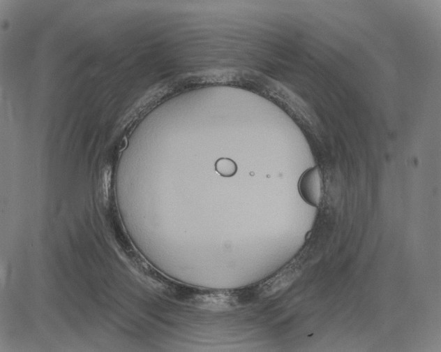 X0000083650118200703051736