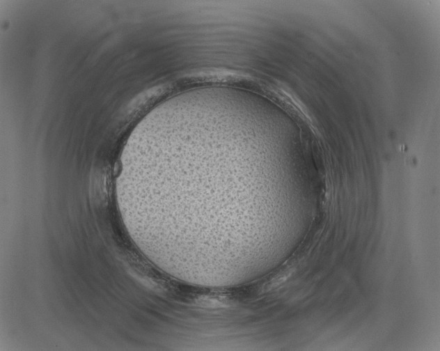 X0000083650119200703051736