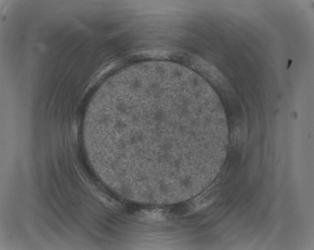 X0000083650120200703051736