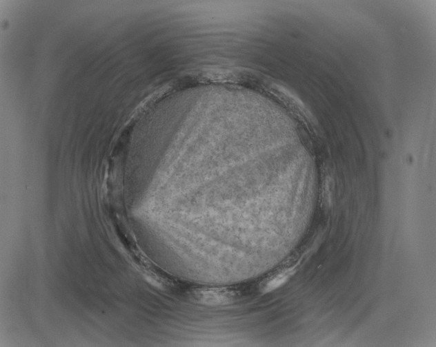 X0000083650121200703051736