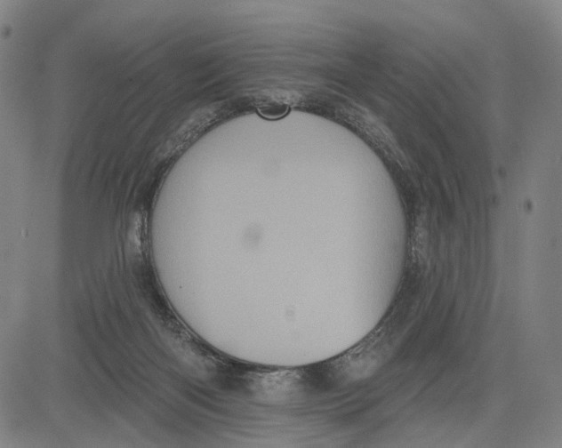 X0000083650122200703051736