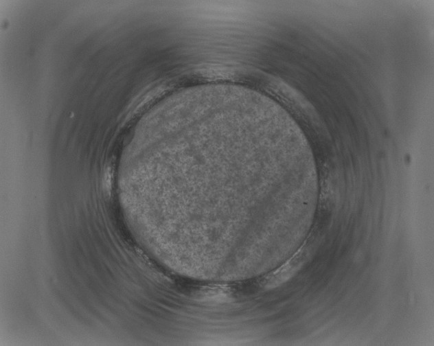 X0000083650124200703051736