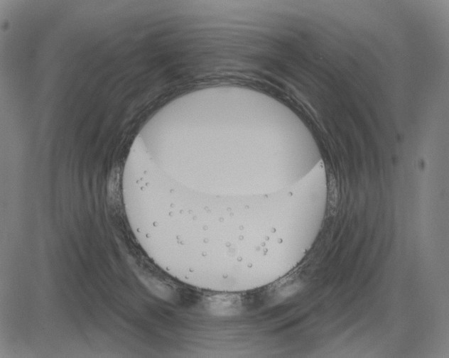 X0000083650126200703051736