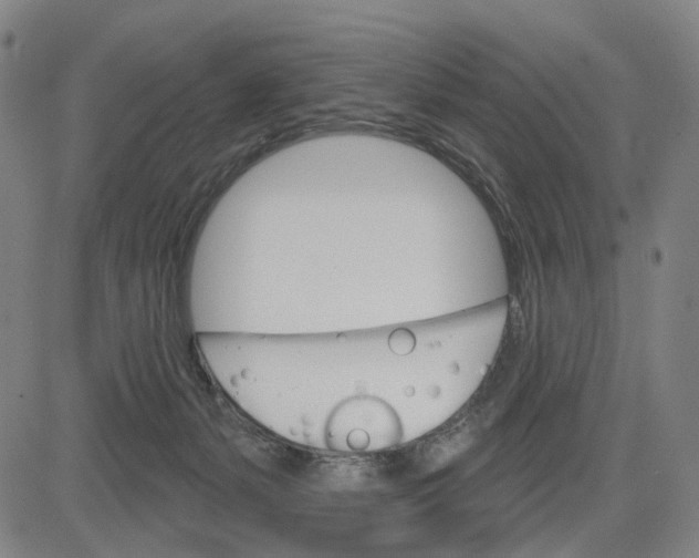 X0000083650127200703051736