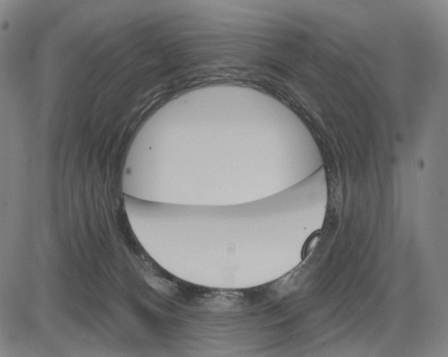 X0000083650128200703051736