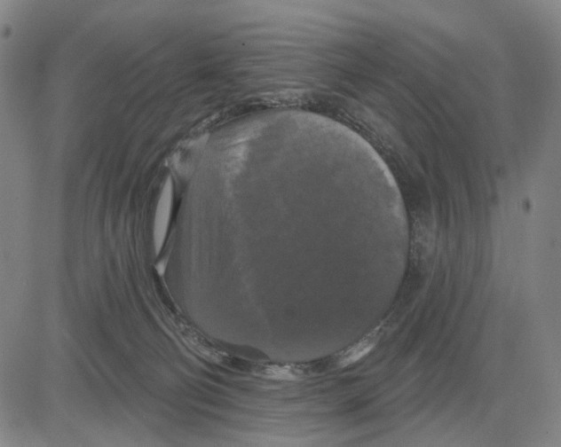 X0000083650130200703051736