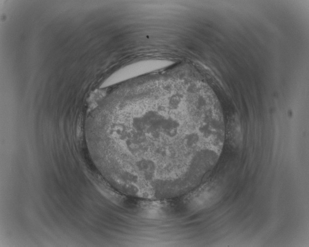 X0000083650131200703051736