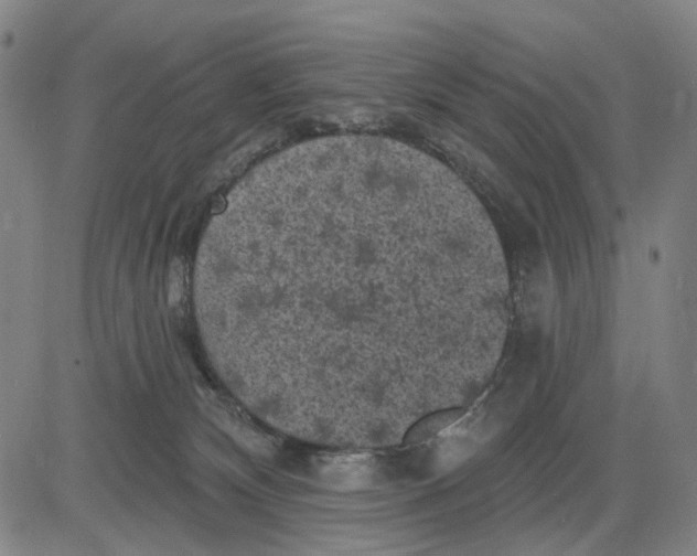 X0000083650132200703051736