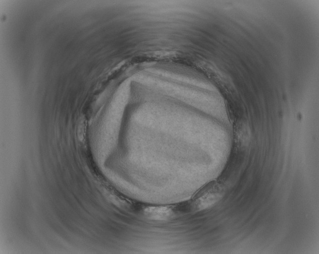 X0000083650133200703051736