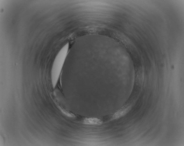 X0000083650137200703051736