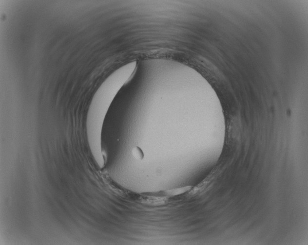 X0000083650138200703051736