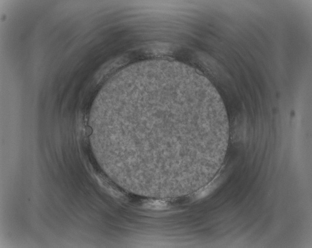 X0000083650140200703051736