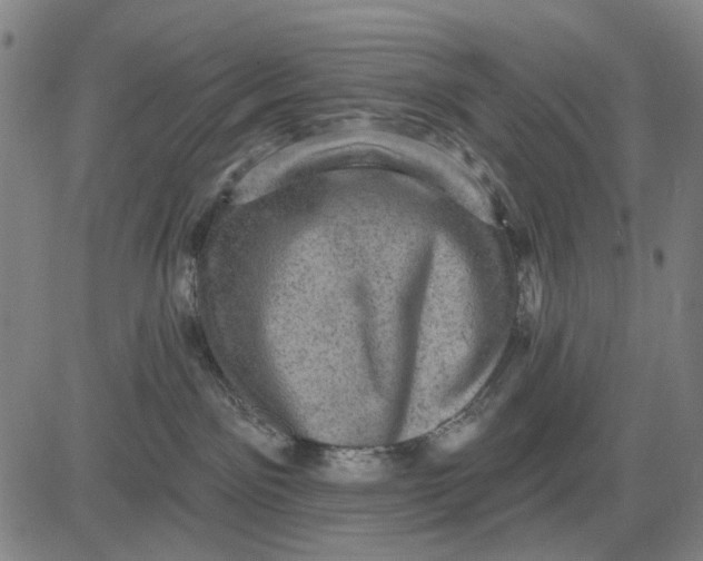 X0000083650141200703051736